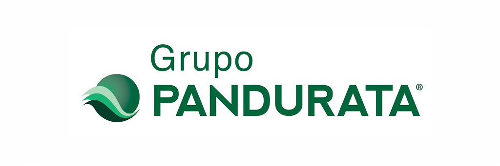 Pandurata